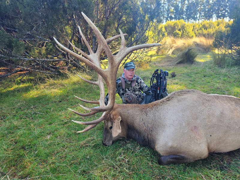 350-400 Class Elk Package