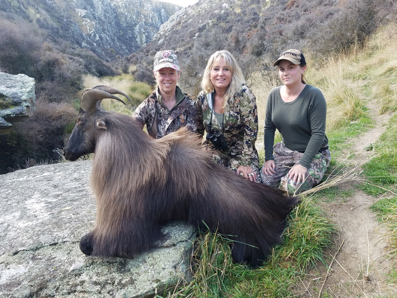 Stag, Fallow & Tahr Package