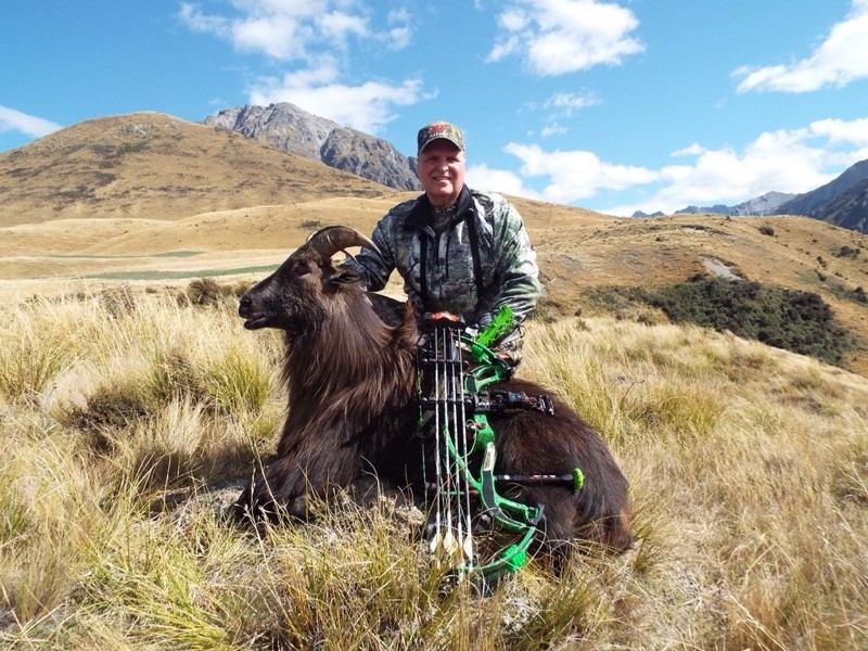 350 Class Red Stag and Bull Tahr Hunt