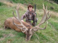 new400stag1
