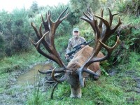 new500stag1