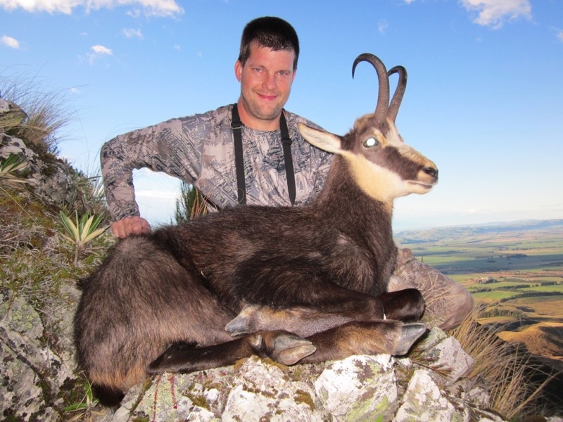 Free Range Buck Chamois Hunt