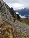 Wilderness-Shingle-skury